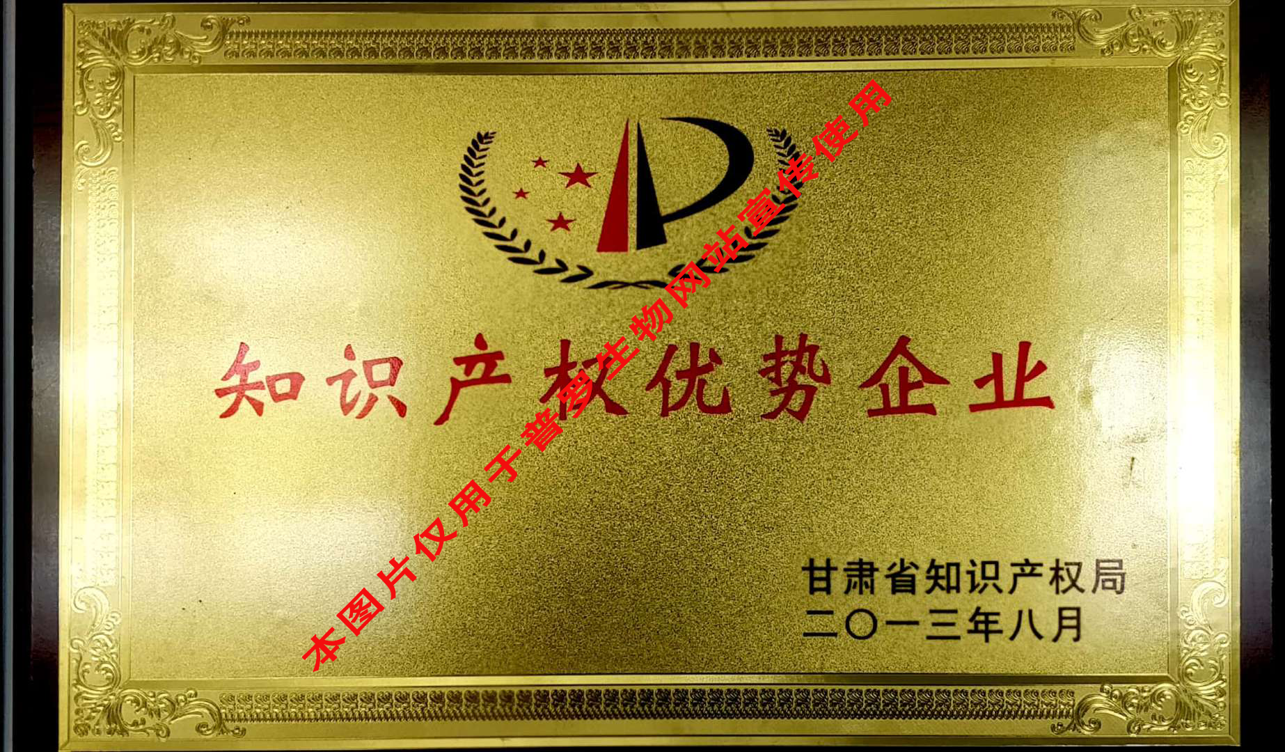 甘肃省知识产权优势企业