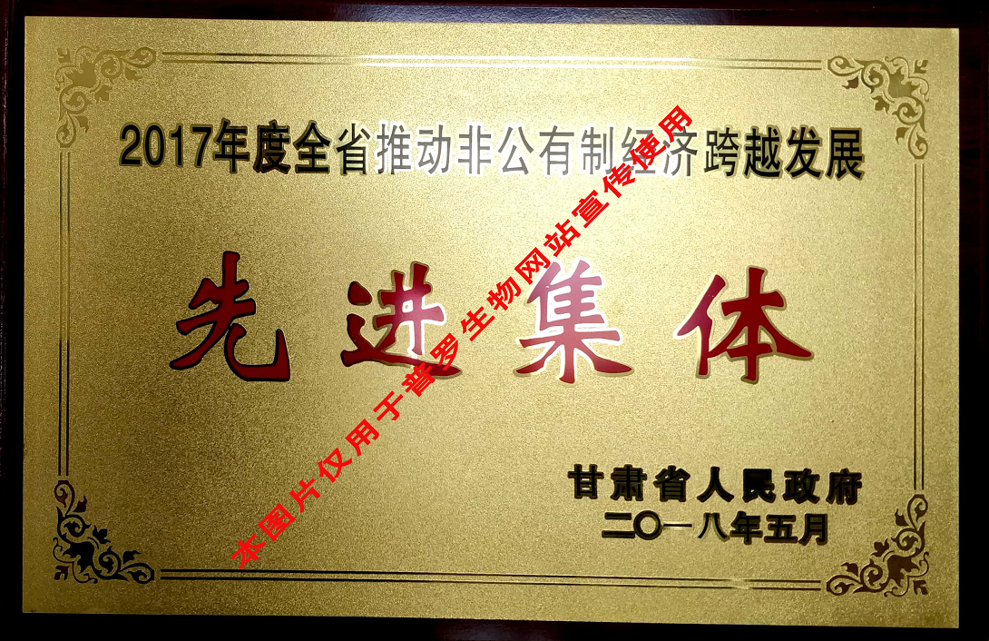 推动非公有制经济先进集体