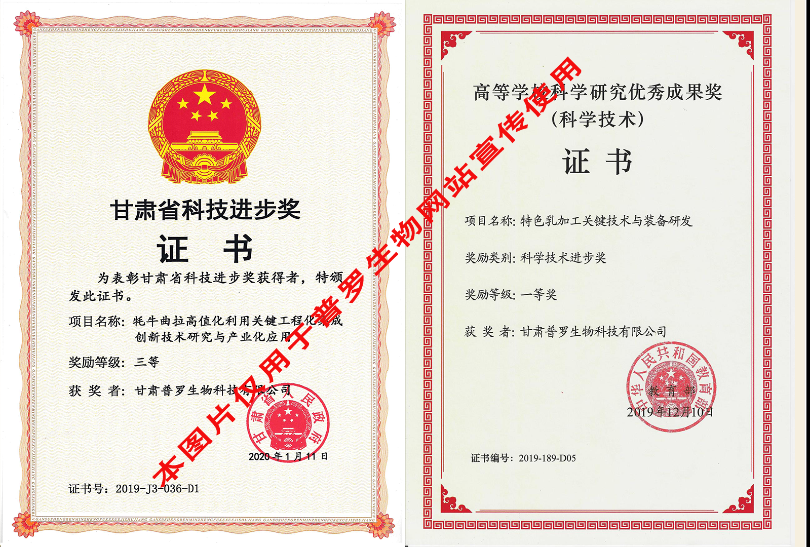 科技技术进步奖