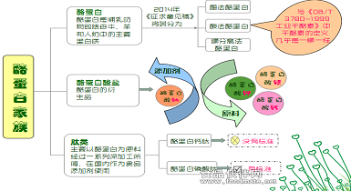 酪蛋白系列产品有哪些？