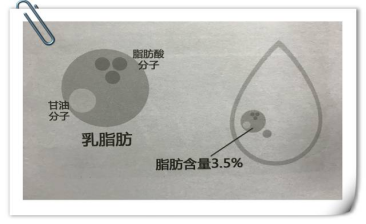 没奶味 没有奶皮子？答案都在乳脂中