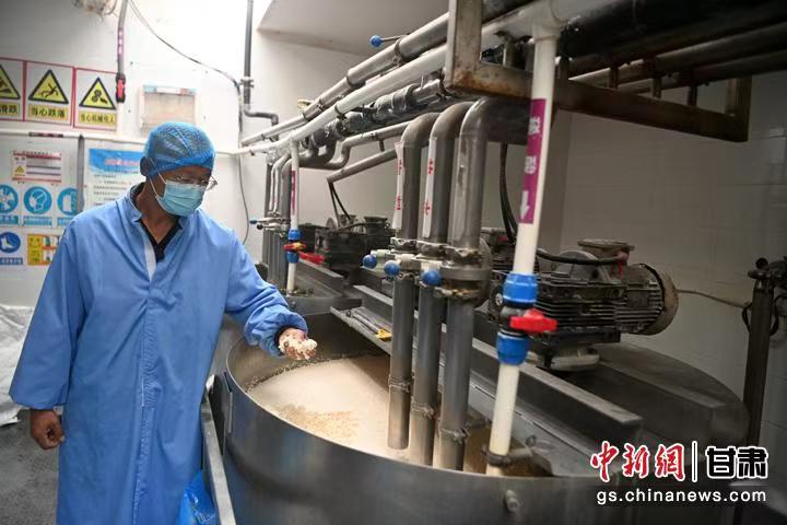 这座西北小城里有个国家级“小巨人”企业